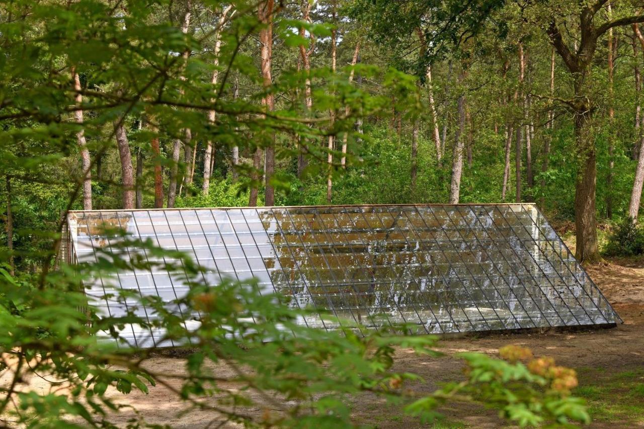 Natuurslaapkamer De Zaadeest Boskamer Lomm Ngoại thất bức ảnh